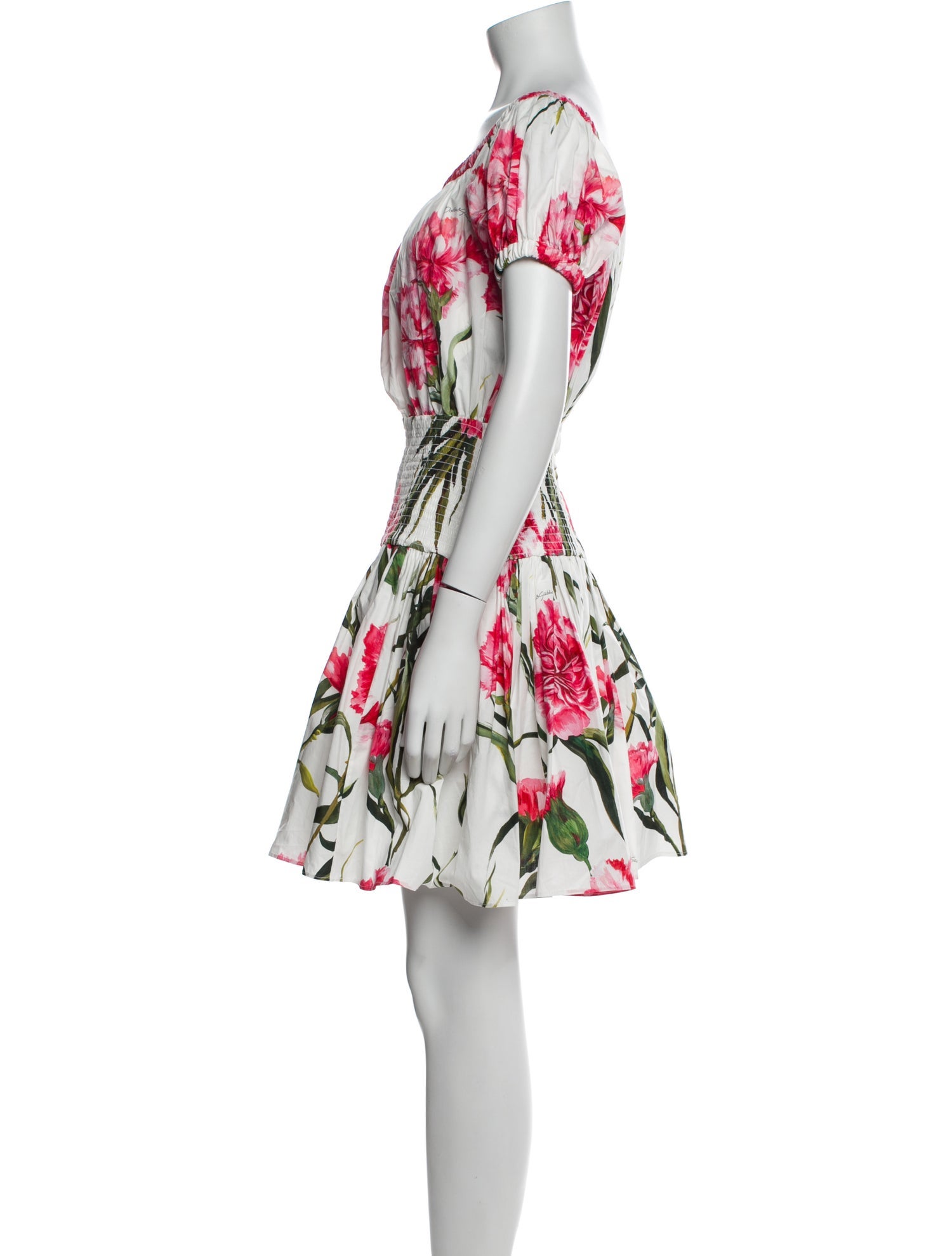 Dolce & Gabbana Floral Print Mini Dress