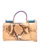 Dolce & Gabbana Snakeskin Top Handle Bag