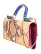 Dolce & Gabbana Snakeskin Top Handle Bag