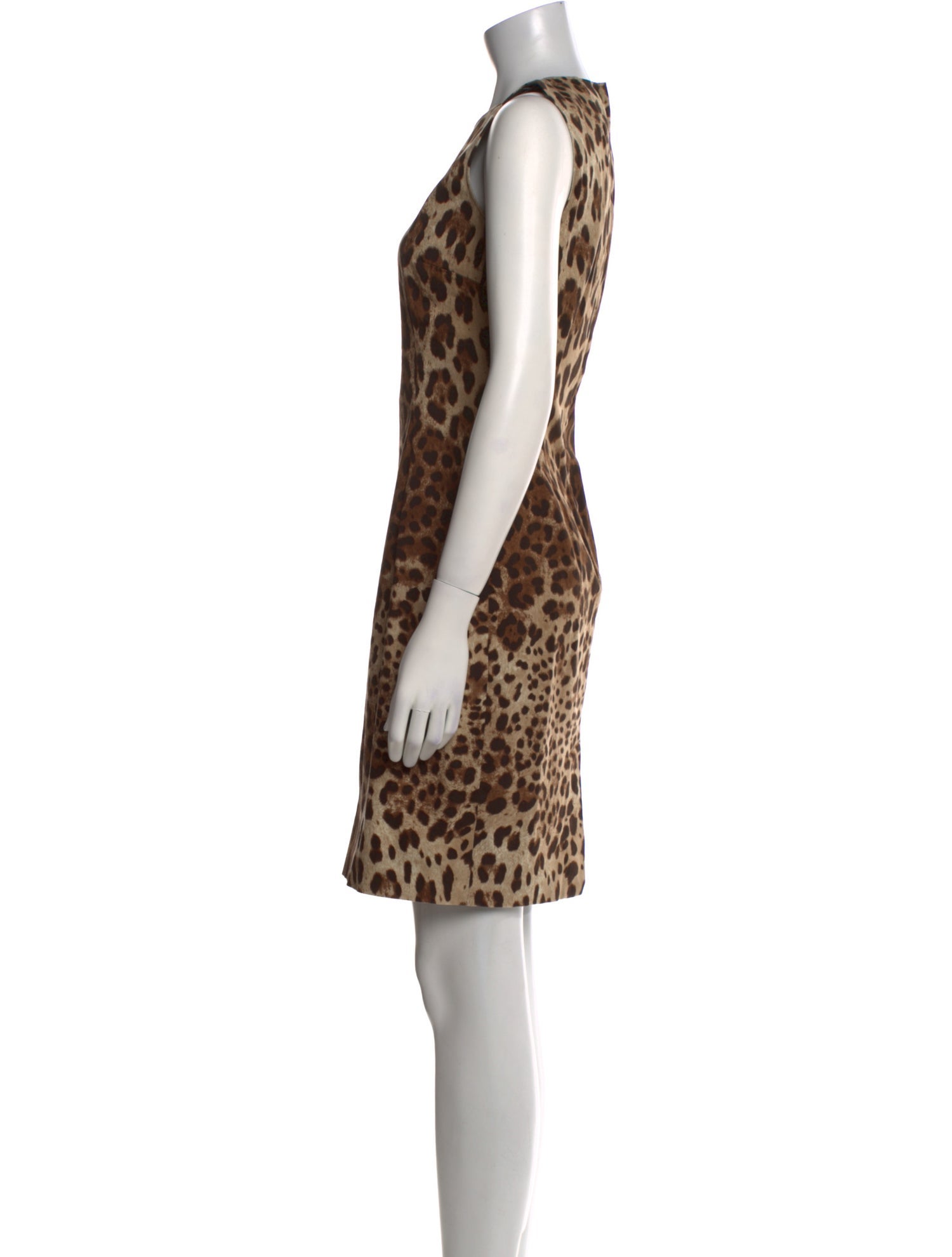 Dolce & Gabbana Animal Print Mini Dress