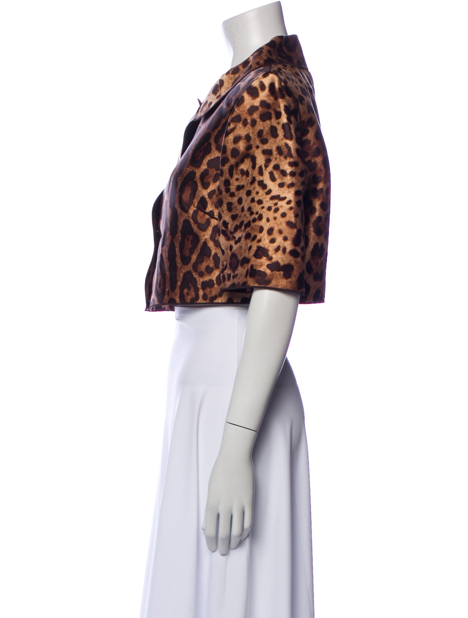 Dolce & Gabbana Silk Animal Print Jacket