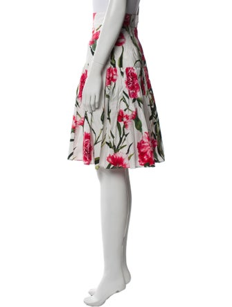 Dolce & Gabbana Floral Print Knee-Length Skirt