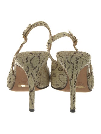 Dolce & Gabbana Snakeskin Animal Print Slingback Pumps