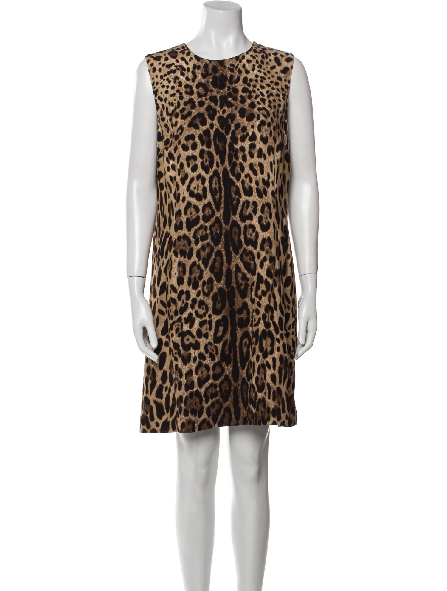 Dolce & Gabbana Animal Print Mini Dress