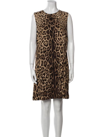 Dolce & Gabbana Animal Print Mini Dress