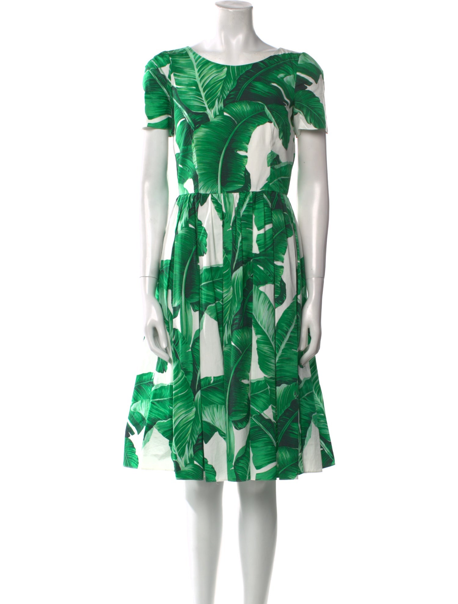 Dolce & Gabbana Floral Print Knee-Length Dress