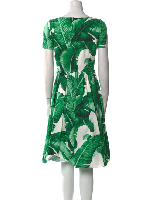 Dolce & Gabbana Floral Print Knee-Length Dress