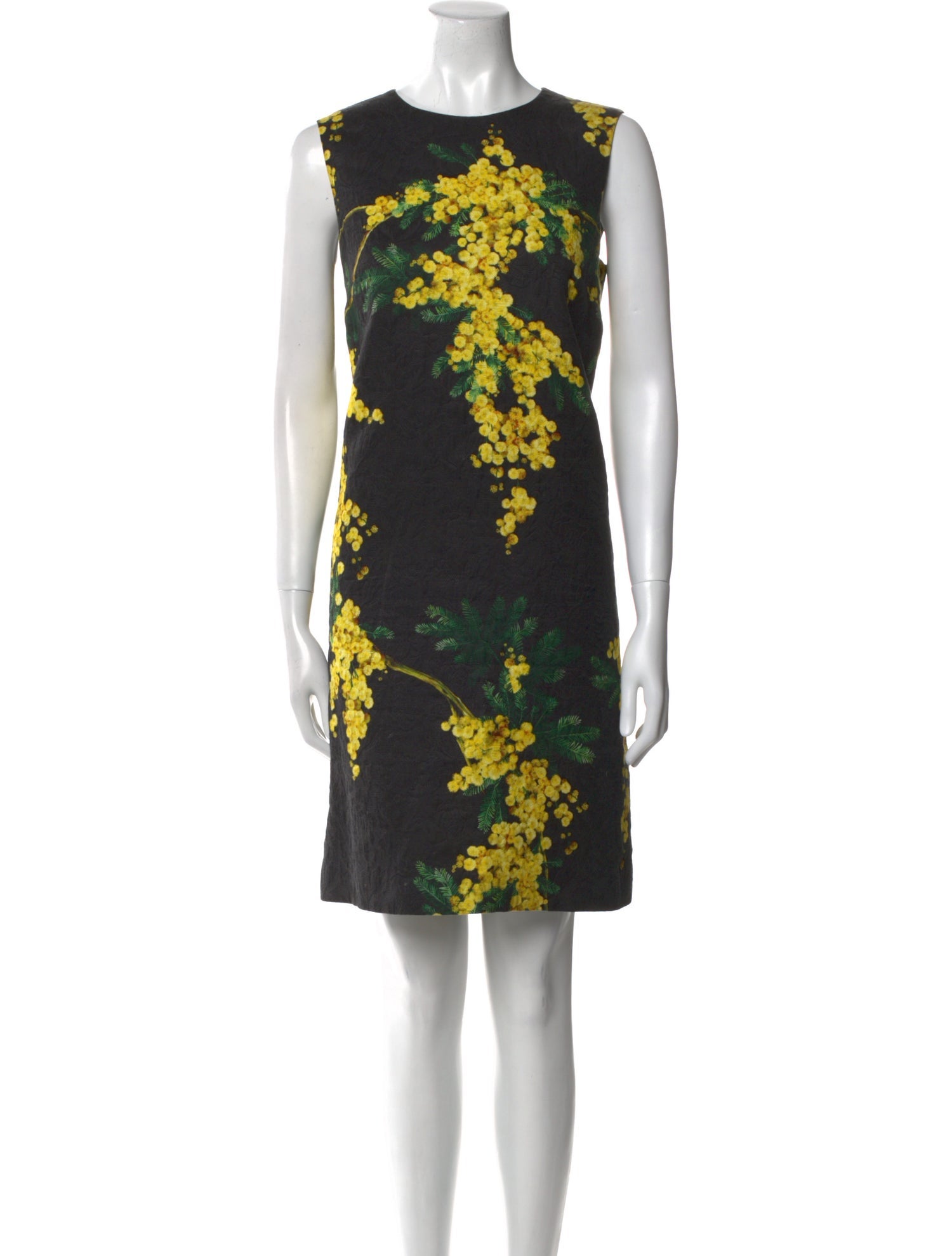 Dolce & Gabbana Floral Print Knee-Length Dress
