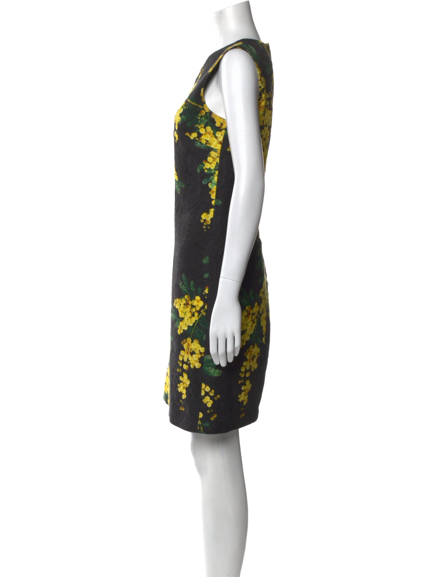 Dolce & Gabbana Floral Print Knee-Length Dress