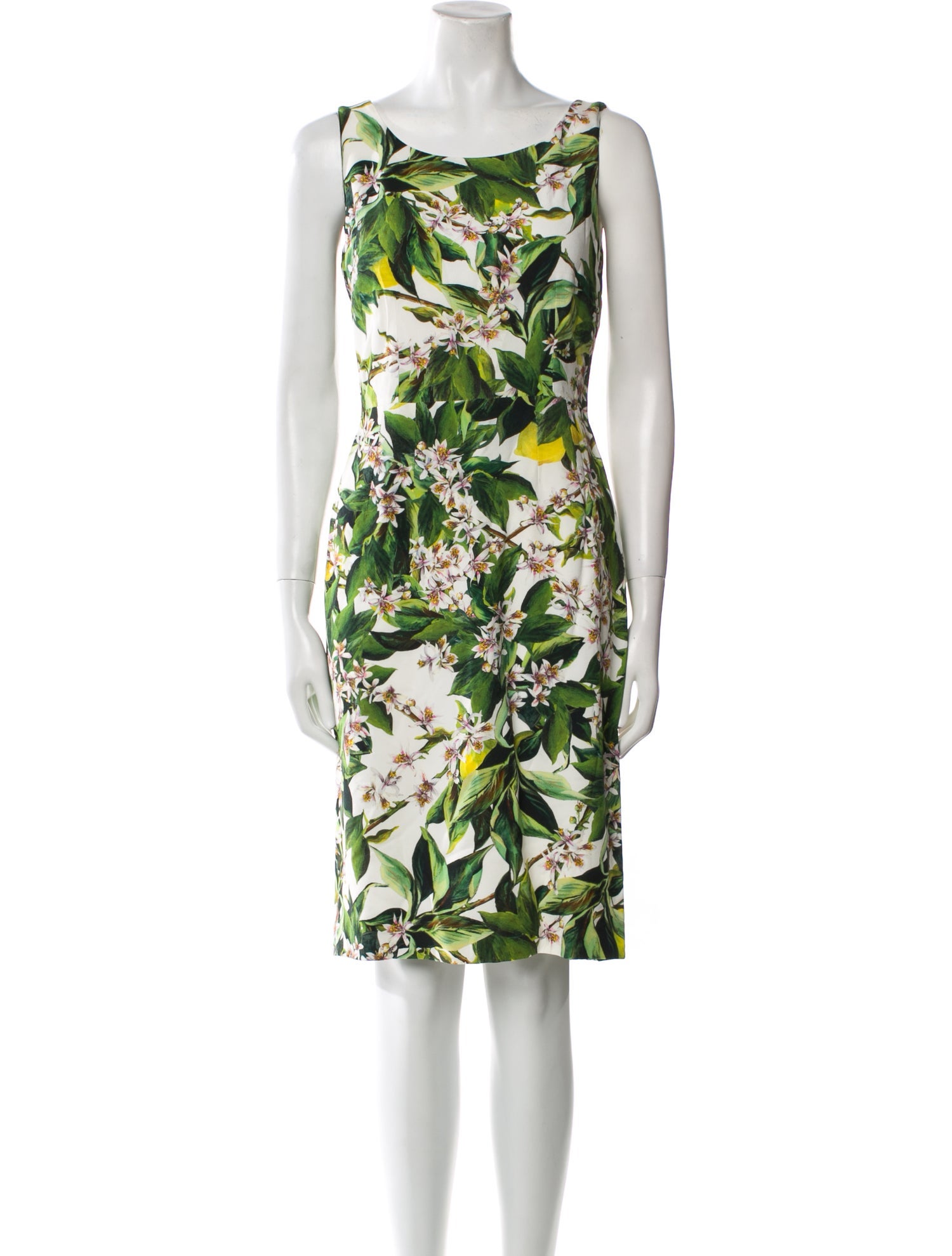 Dolce & Gabbana Floral Print Knee-Length Dress