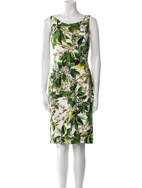 Dolce & Gabbana Floral Print Knee-Length Dress