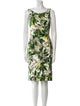 Dolce & Gabbana Floral Print Knee-Length Dress