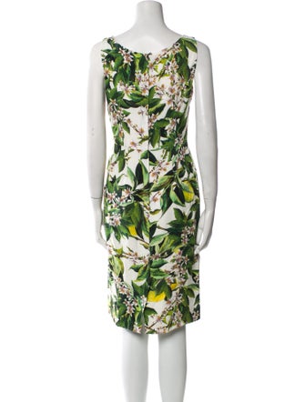 Dolce & Gabbana Floral Print Knee-Length Dress