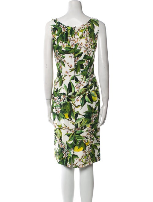 Dolce & Gabbana Floral Print Knee-Length Dress