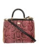Dolce & Gabbana Snakeskin Shoulder Bag