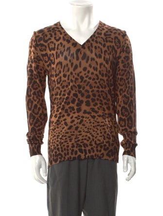 Dolce & Gabbana Animal Print V-Neck Pullover