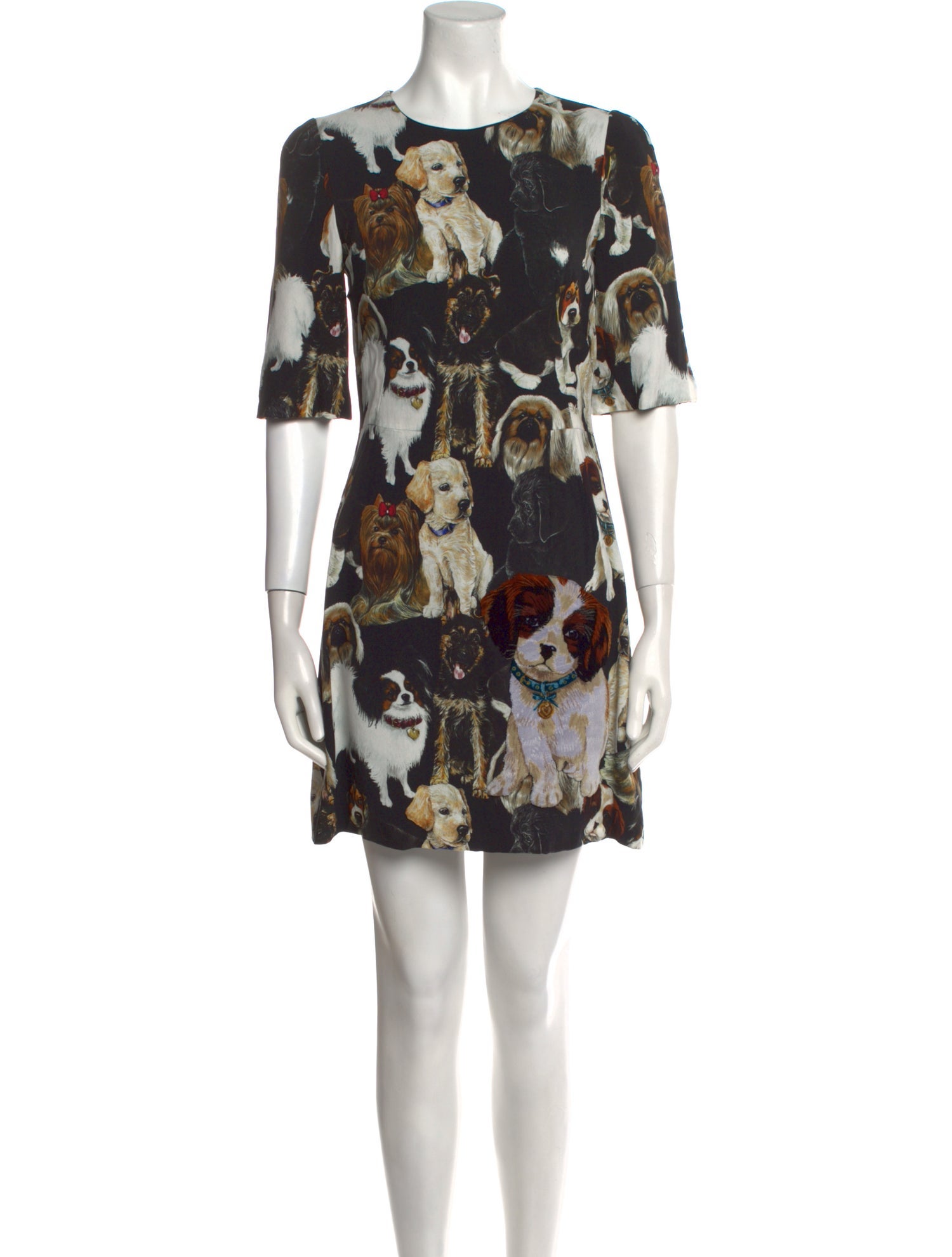Dolce & Gabbana Printed Mini Dress