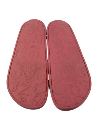 Dolce & Gabbana Rubber Printed Slides