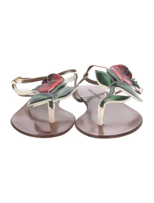 Dolce & Gabbana Leather Floral Print Slingback Sandals