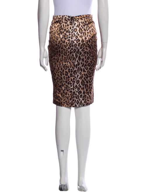 Dolce & Gabbana Animal Print Knee-Length Skirt