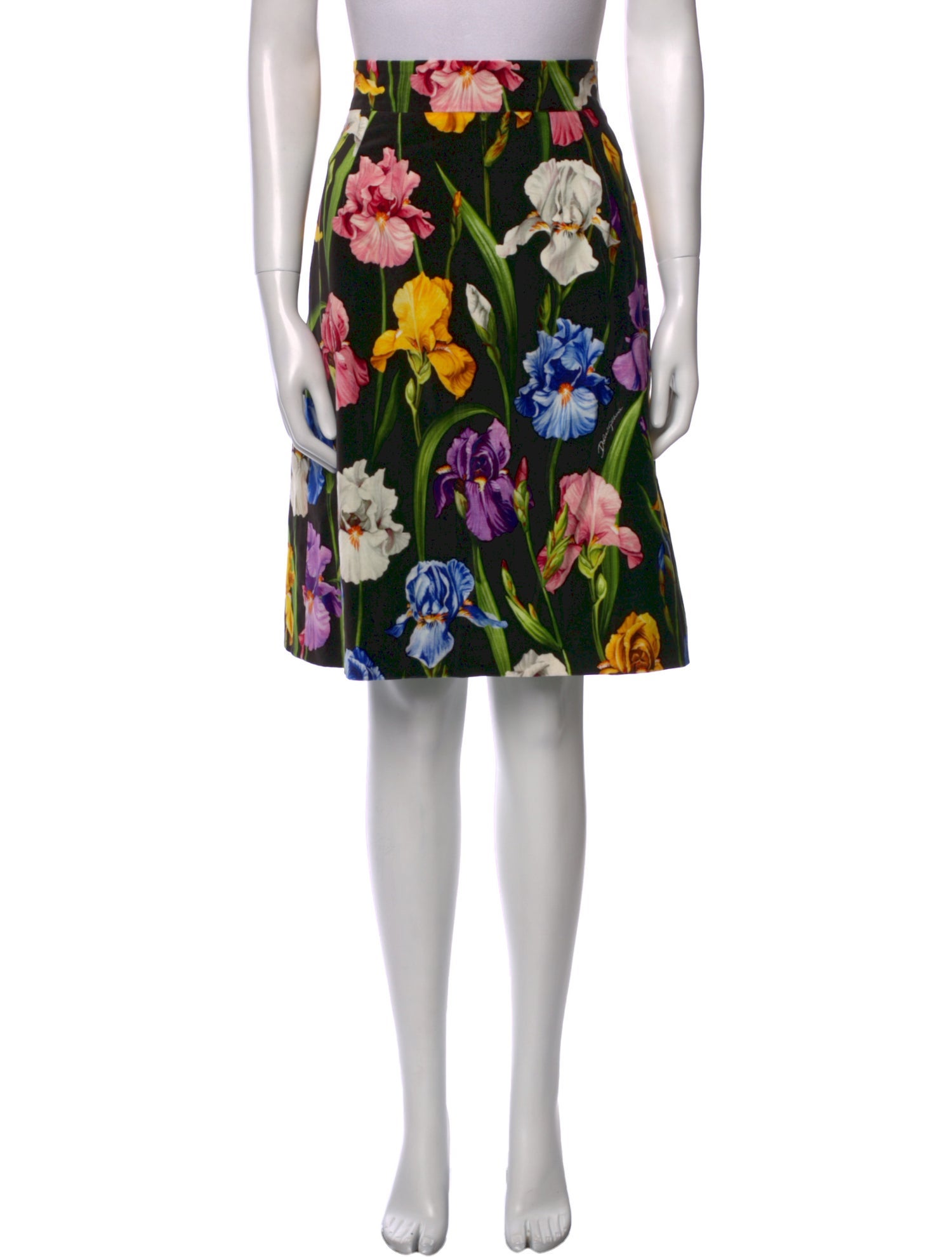 Dolce & Gabbana Floral Print Knee-Length Skirt