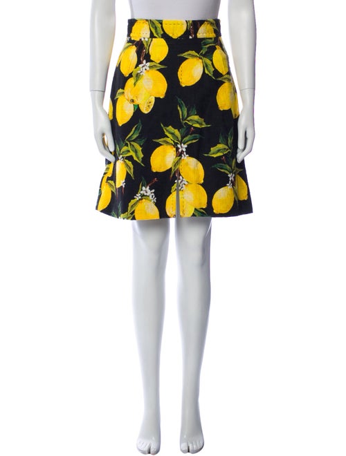 Dolce & Gabbana Printed Knee-Length Skirt