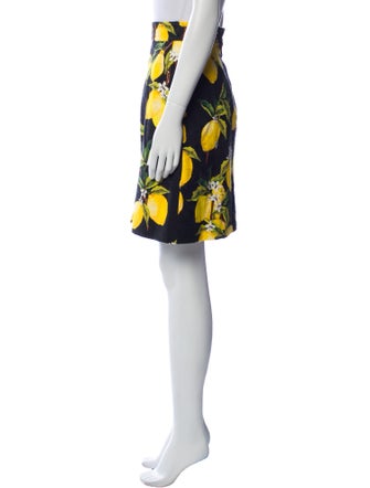 Dolce & Gabbana Printed Knee-Length Skirt