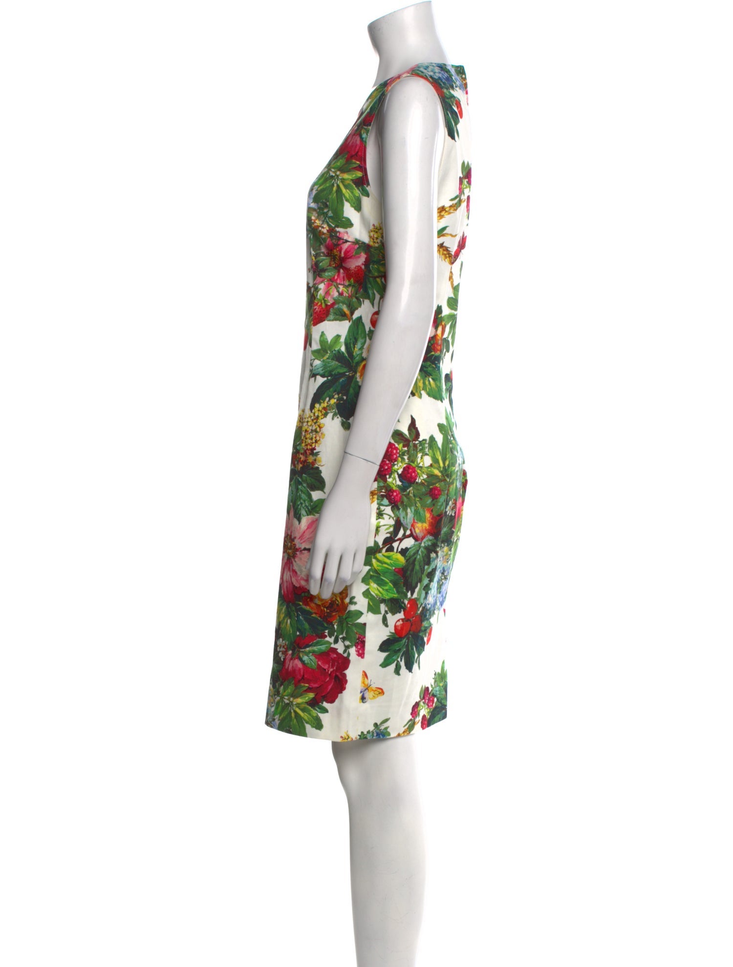 Dolce & Gabbana Floral Print Knee-Length Dress