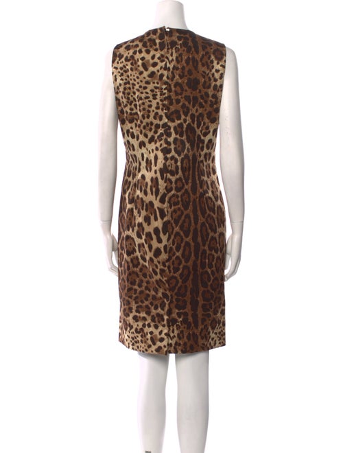 Dolce & Gabbana Animal Print Knee-Length Dress