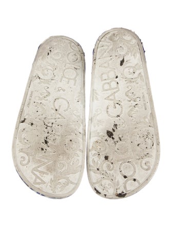 Dolce & Gabbana Rubber Printed Slides