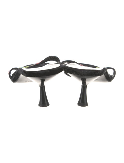 Dolce & Gabbana Velvet Floral Print Slides