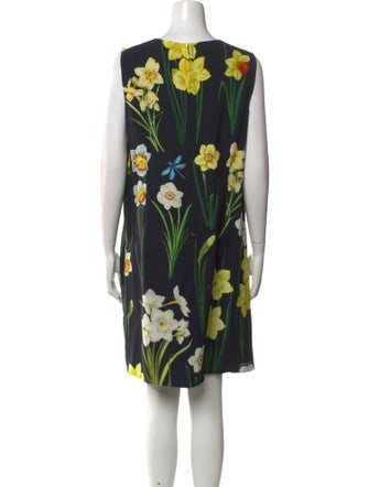 Dolce & Gabbana Floral Print Mini Dress