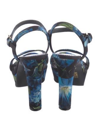 Dolce & Gabbana Floral Print Sandals