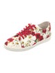 Dolce & Gabbana Canvas Floral Print Sneakers