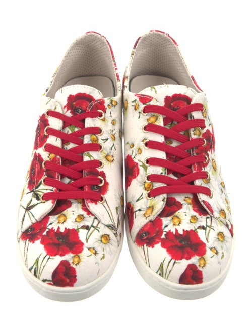 Dolce & Gabbana Canvas Floral Print Sneakers