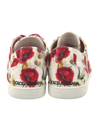 Dolce & Gabbana Canvas Floral Print Sneakers