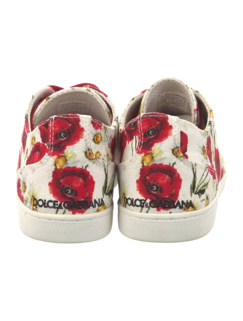 Dolce & Gabbana Canvas Floral Print Sneakers