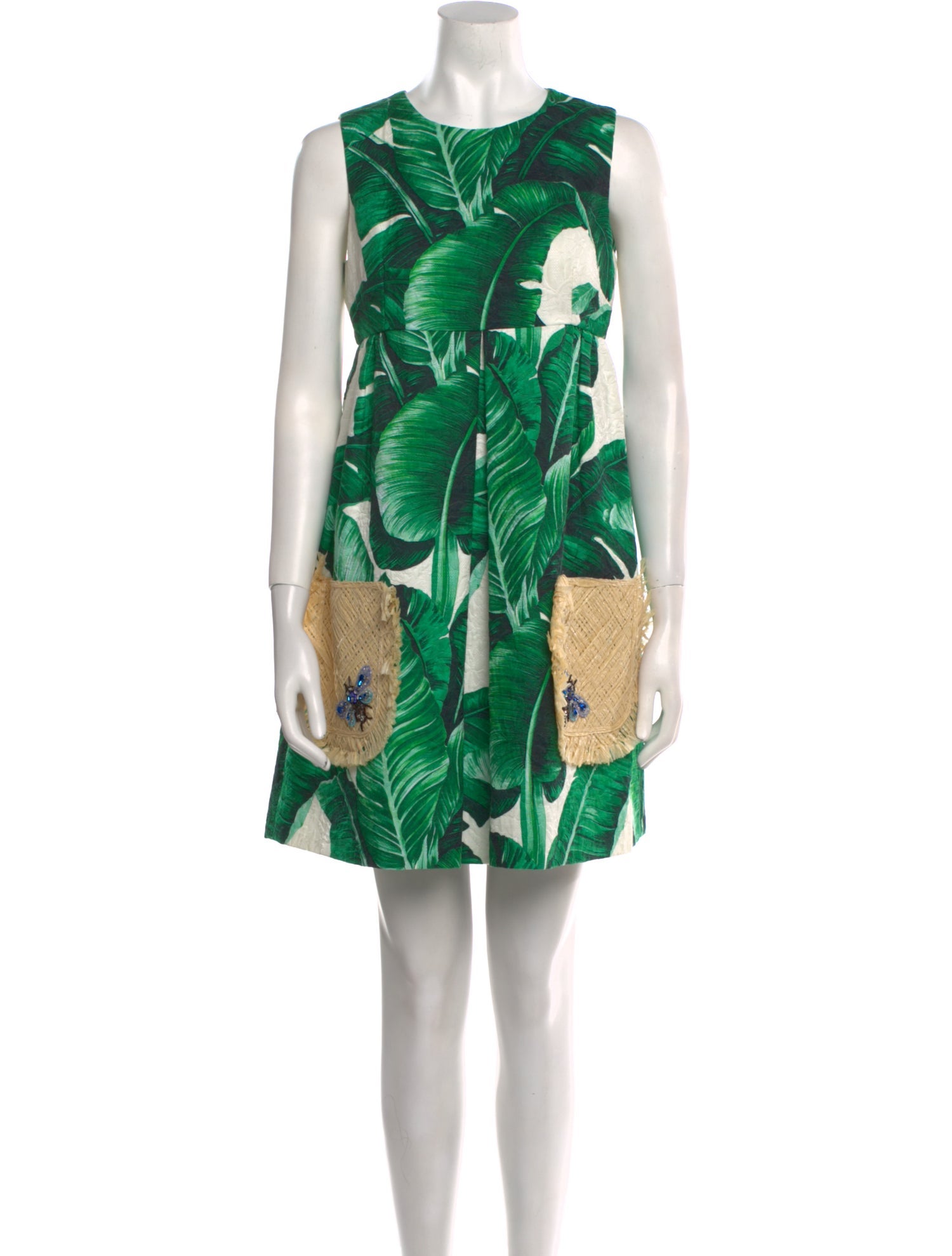 Dolce & Gabbana Printed Mini Dress