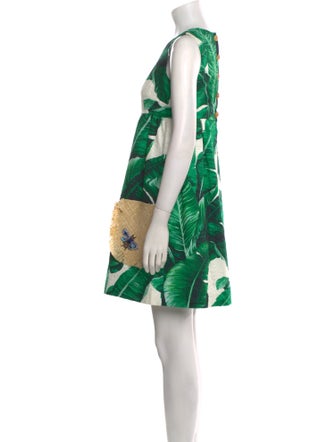 Dolce & Gabbana Printed Mini Dress