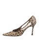 Dolce & Gabbana Leather Animal Print D'Orsay Pumps