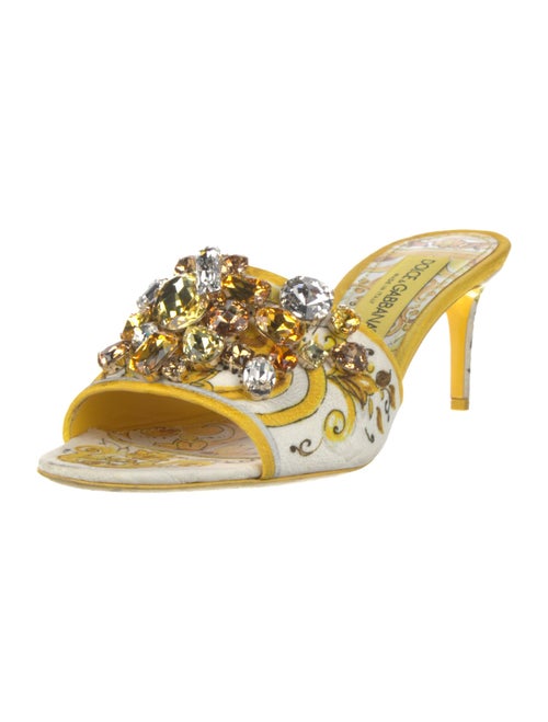 Dolce & Gabbana Leather Floral Print Slides