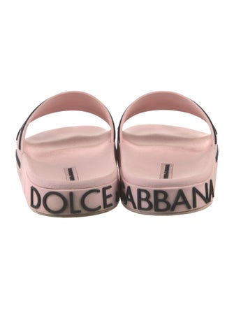 Dolce & Gabbana Rubber Printed Slides