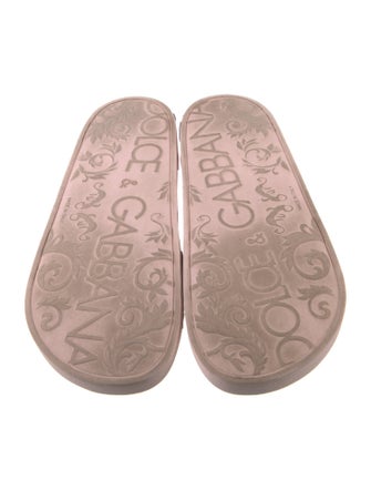 Dolce & Gabbana Rubber Printed Slides