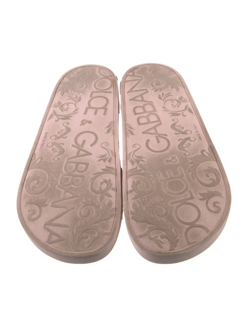 Dolce & Gabbana Rubber Printed Slides