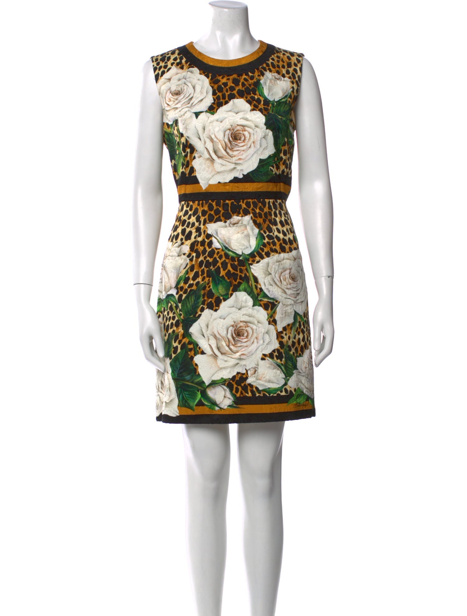 Dolce & Gabbana Printed Mini Dress