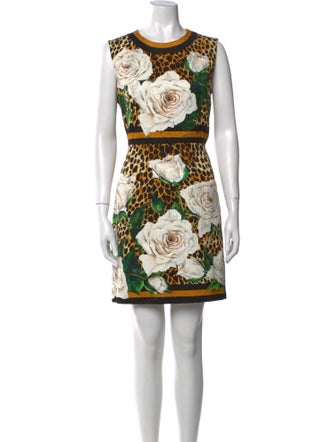 Dolce & Gabbana Printed Mini Dress