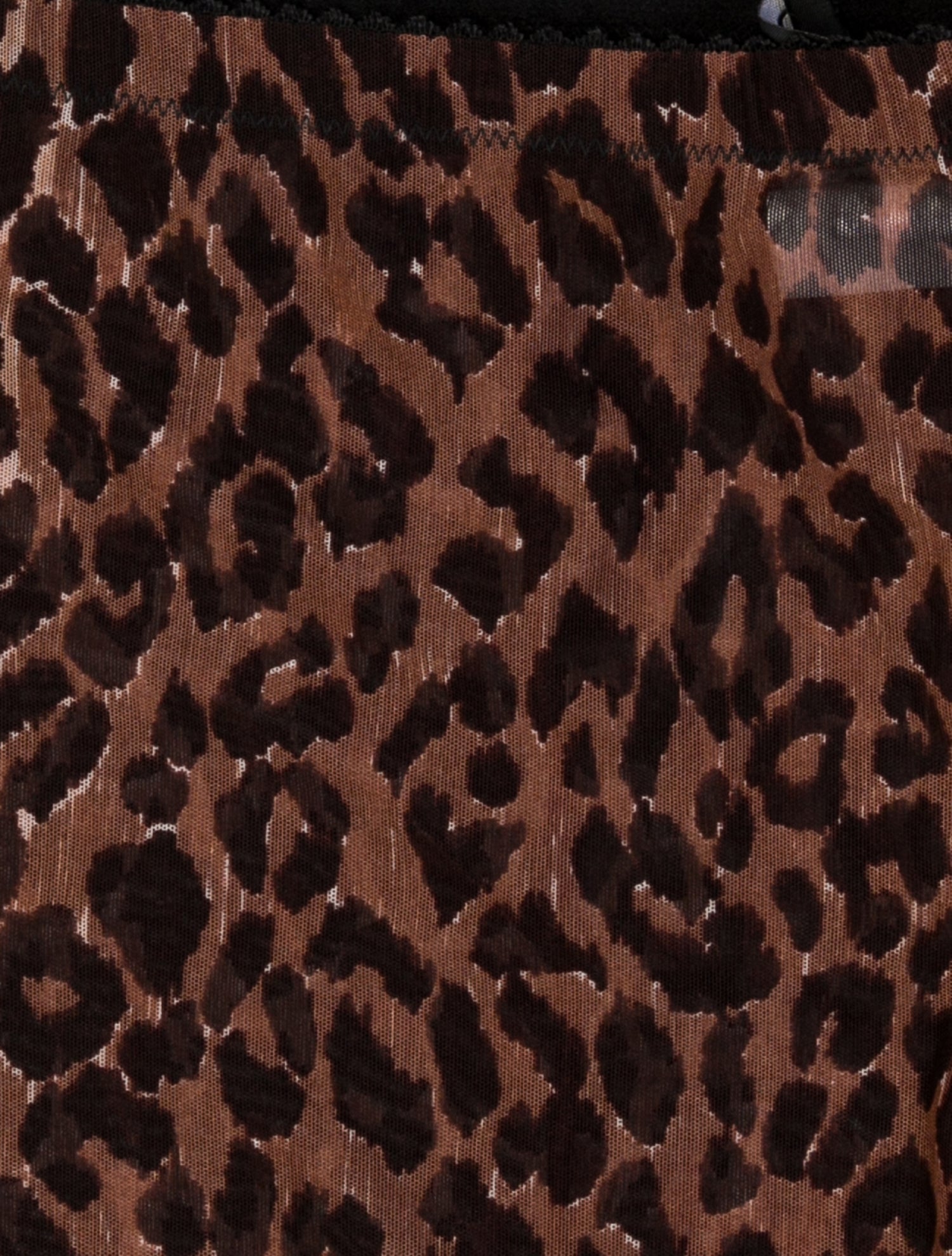 Dolce & Gabbana Leopard Print Tights