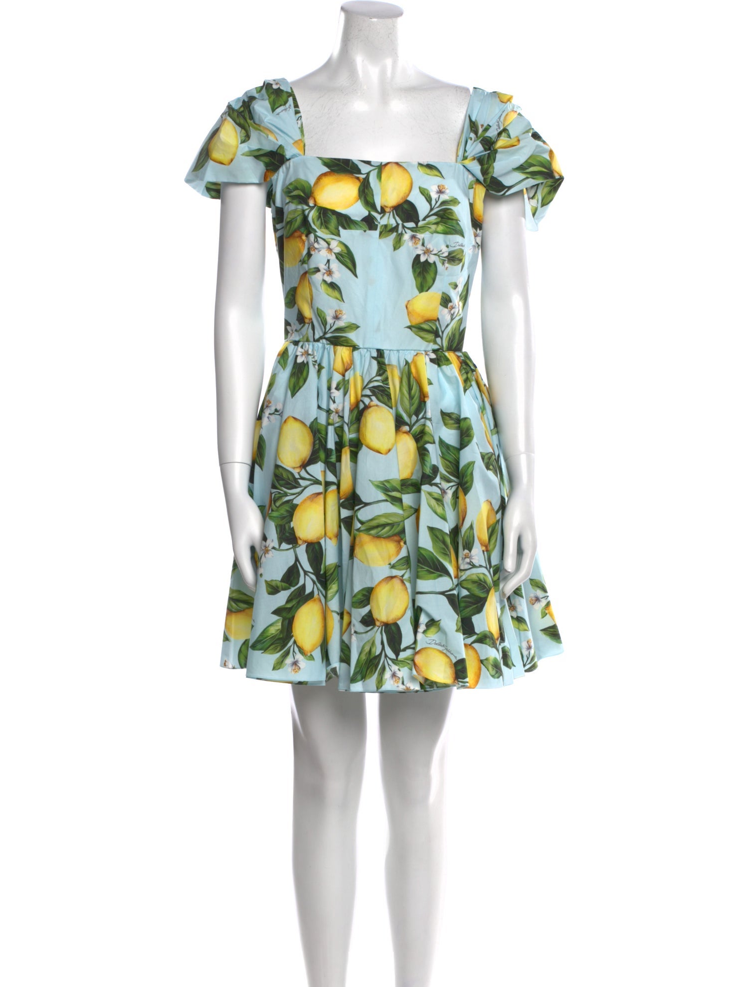 Dolce & Gabbana Floral Print Mini Dress