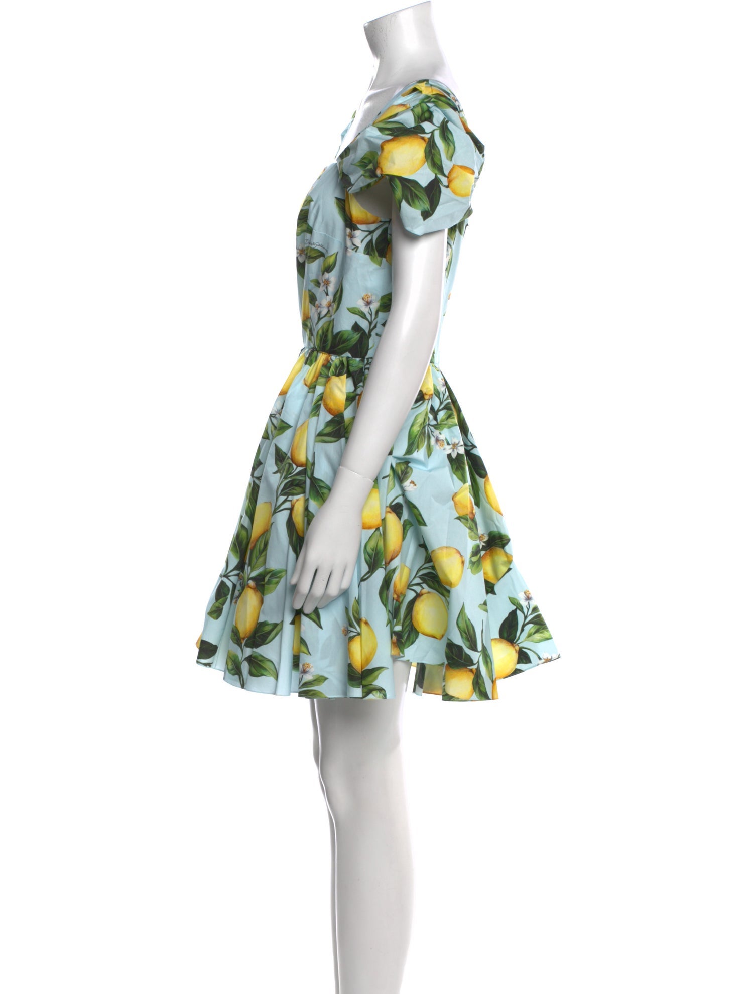 Dolce & Gabbana Floral Print Mini Dress