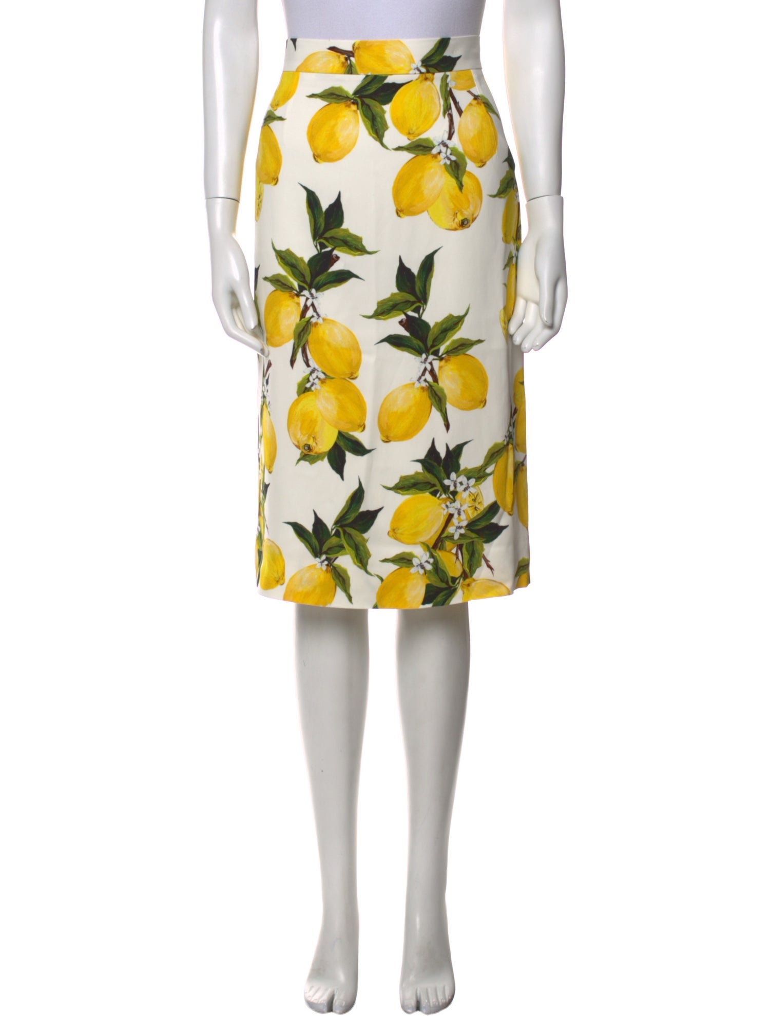 Dolce & Gabbana Floral Print Knee-Length Skirt